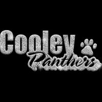 GLT1 SILVER GLITTER Thumbnail