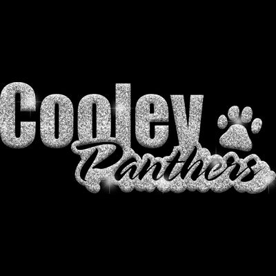 GLT1 SILVER GLITTER Thumbnail